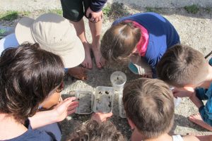 Die Kinder zeigen großes Interesse über die Vielfalt der Wasserlebewesen